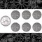 Antiqued Silver Plated Brass Dragonfly Disk Charms - Set of Six - XXX - S-C212
